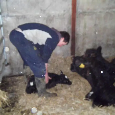 Hostel Farm Hostel, And