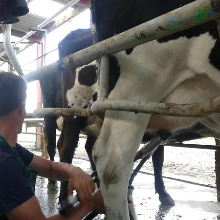 Farm Hostel, And Hostal