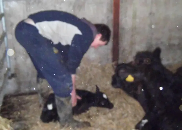 Hostel Farm Hostel, And